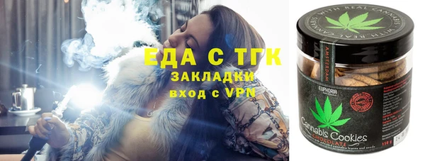 дживик Бородино
