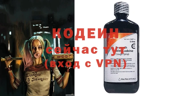 дживик Бородино