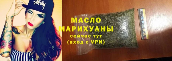 дживик Бородино