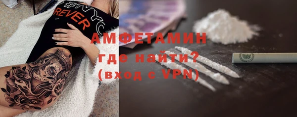 дживик Бородино