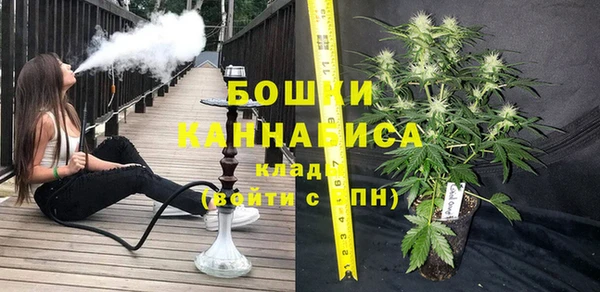 дживик Бородино