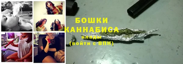 дживик Бородино