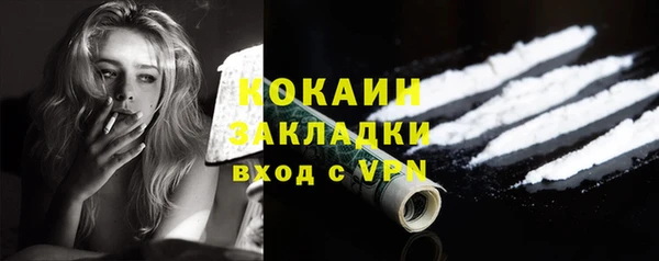 дживик Бородино
