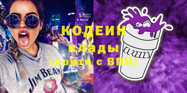 дживик Бородино