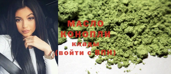 дживик Бородино