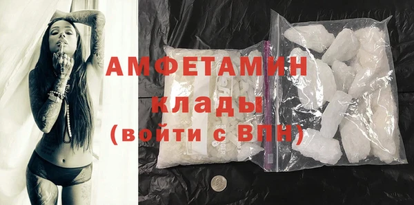 дживик Бородино