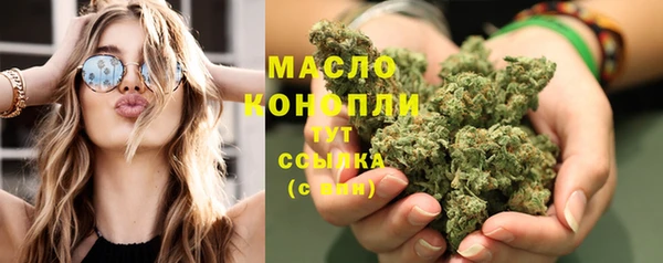 дживик Бородино