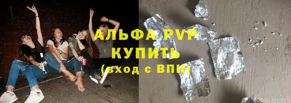 дживик Бородино