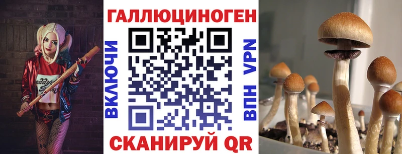 Псилоцибиновые грибы Cubensis  Можайск 