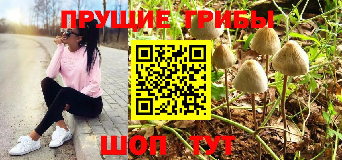 Можайск  Галлюциногенные грибы Magic Shrooms  Вход с VPN 