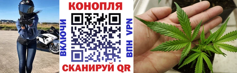 где найти   Можайск  Конопля индика 